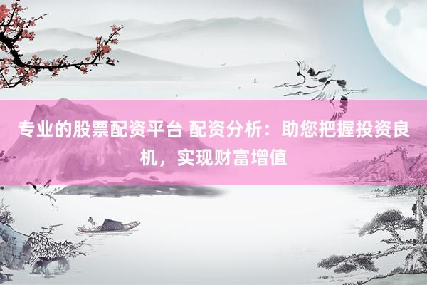 专业的股票配资平台 配资分析：助您把握投资良机，实现财富增值