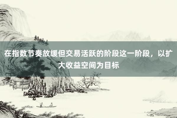 在指数节奏放缓但交易活跃的阶段这一阶段，以扩大收益空间为目标