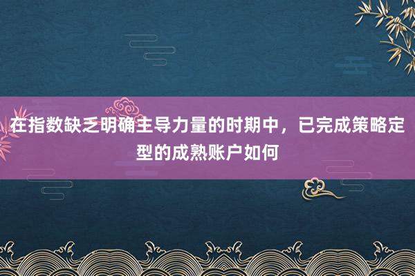 在指数缺乏明确主导力量的时期中，已完成策略定型的成熟账户如何