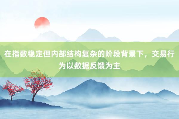 在指数稳定但内部结构复杂的阶段背景下，交易行为以数据反馈为主