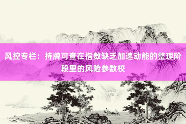 风控专栏：持牌可查在指数缺乏加速动能的整理阶段里的风险参数校