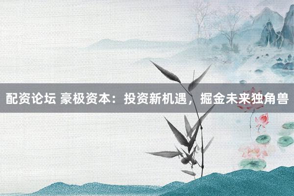 配资论坛 豪极资本：投资新机遇，掘金未来独角兽